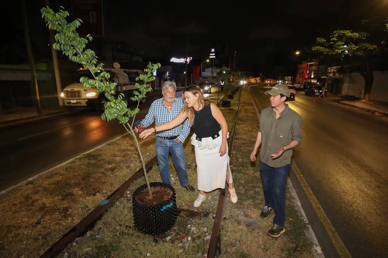 Arranca reforestación en Circuito Colonias; Cecilia Patrón inicia trabajos de arborización en la transitada avenida