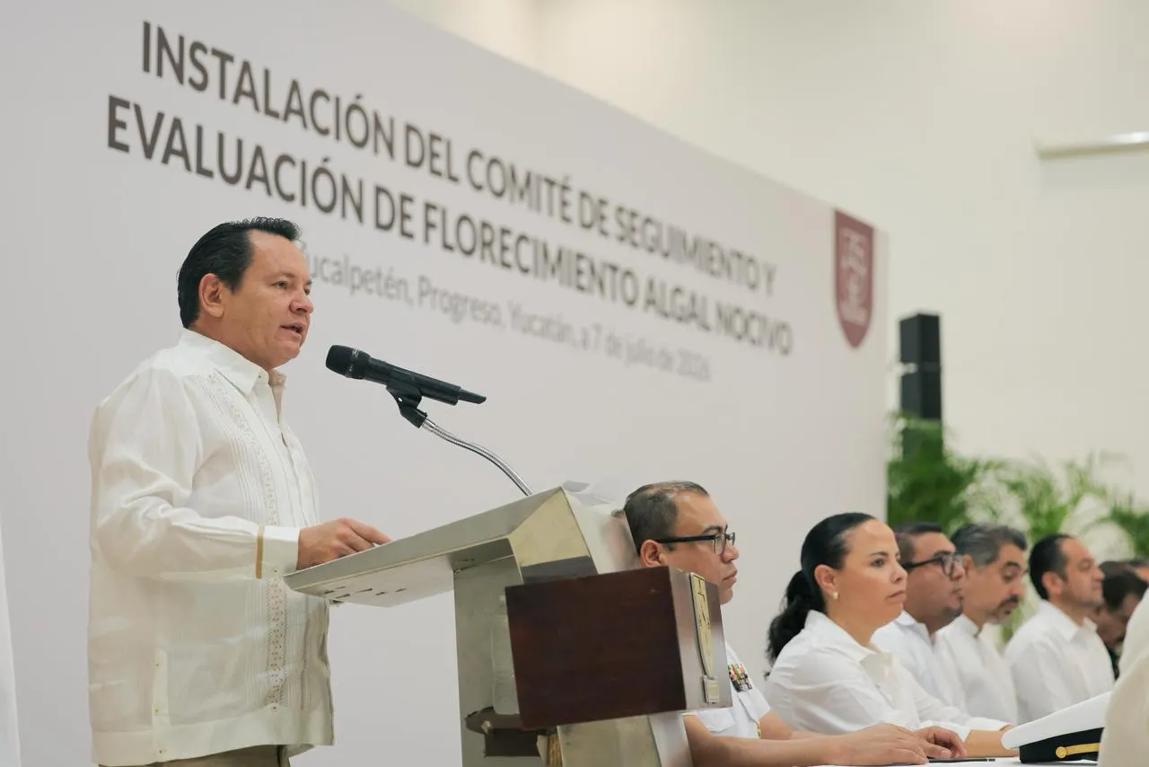 Gobierno de Yucatán activa comité contra la marea roja para proteger salud, turismo y sector pesquero