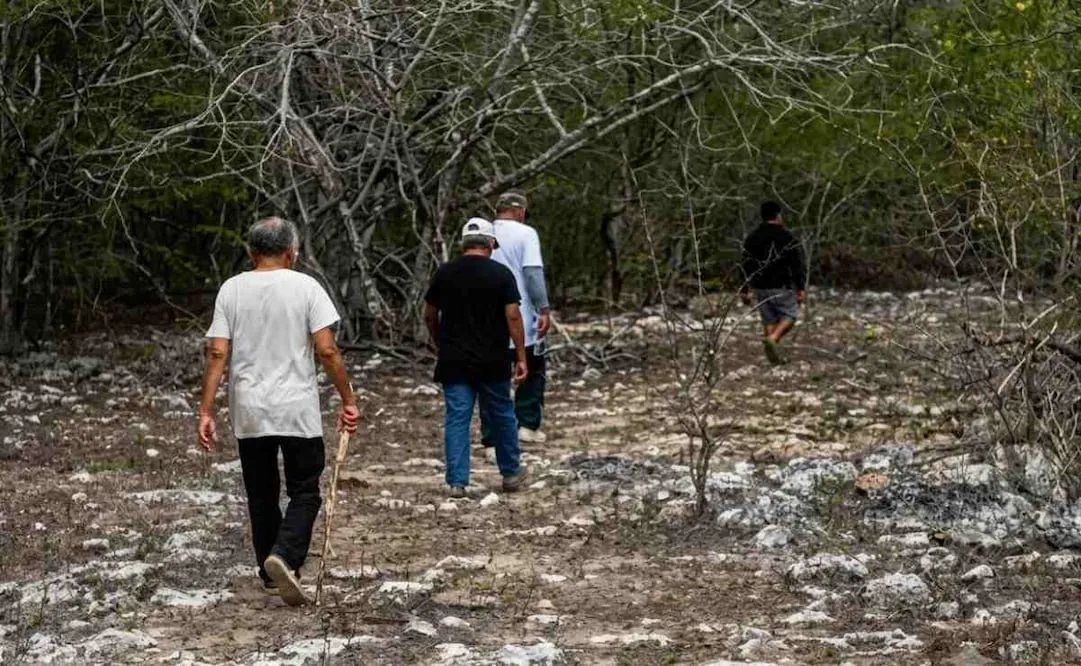 Van por toda la red de despojo en Celestún; gobernador advierte que llegarán hasta las últimas consecuencias y nadie quedará impune